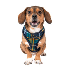Load image into Gallery viewer, PUPPIA CHECKERED PATTERN HARNESS