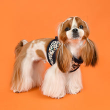 Load image into Gallery viewer, PUPPIA LEOPARD PATTERN HARNESS and Matching Lead