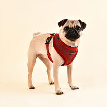 Load image into Gallery viewer, PUPPIA HOUNDSTOOTH PATTERN HARNESS and lead