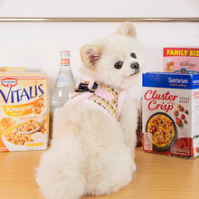 Load image into Gallery viewer, PINKAHHOLIC  CHECKERED PATTERN HARNESS and MATCHING LEAD