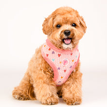 Load image into Gallery viewer, PINKAHOLIC HEART PATTERN HARNESS AND LEAD