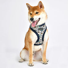 Load image into Gallery viewer, PUPPIA LEOPARD PATTERN HARNESS and Matching Lead