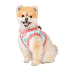 Load image into Gallery viewer, PINKAHOLIC SOFT FLOWERED HARNESS