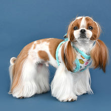 Load image into Gallery viewer, PINKAHOLIC SOFT FLOWERED HARNESS