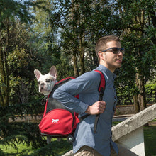 Load image into Gallery viewer, Ferplast Dog/Cat Ferplast animal trolley 32 x 28 x 51cm Max Load Red/Blue