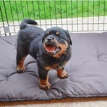 Load image into Gallery viewer, Ferplast Dog Training Playpen for dogs