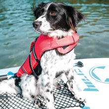 Load image into Gallery viewer, Trixie Swim Vest for Dogs