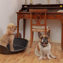 Load image into Gallery viewer, Ferplast Plastic Dog/Cat Bed Siesta deluxe 6