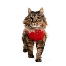 Load image into Gallery viewer, MPS-MEDICAL PET SHIRT®