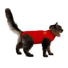 Load image into Gallery viewer, MPS-MEDICAL PET SHIRT®