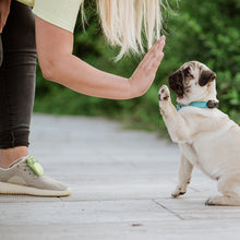 Load image into Gallery viewer, TICKLESS Mini Dog - The new generation of chemical-free ultrasonic tick and flea repellent
