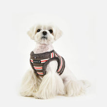 Load image into Gallery viewer, PUPPIA  STRIPED PATTERN HARNESS