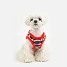 Load image into Gallery viewer, PUPPIA  STRIPED PATTERN HARNESS