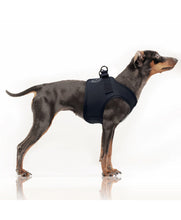 Load image into Gallery viewer, Milk & Pepper Erwan Navy Harness