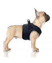 Load image into Gallery viewer, Milk & Pepper Erwan Navy Harness