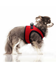 Load image into Gallery viewer, Milk & Pepper Erwan Red Harness