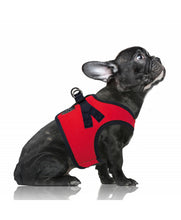 Load image into Gallery viewer, Milk & Pepper Erwan Red Harness