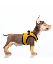 Load image into Gallery viewer, Milk & Pepper Erwan Yellow Harness