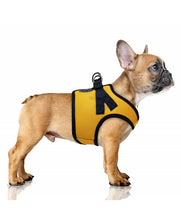 Load image into Gallery viewer, Milk & Pepper Erwan Yellow Harness