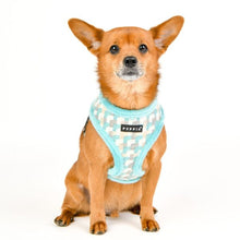 Load image into Gallery viewer, PUPPIA CHECKERED PATTERN HARNESS