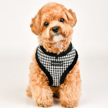Load image into Gallery viewer, PUPPIA HOUNDSTOOTH PATTERN HARNESS and MATCHING LEAD