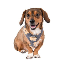 Load image into Gallery viewer, PUPPIA Doudou Bean Printed Flowers Grey and Roses Ren harness
