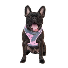 Load image into Gallery viewer, PUPPIA Doudou Bean Printed Flowers Grey and Roses Ren harness