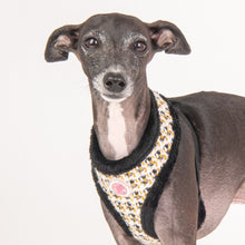 Load image into Gallery viewer, PINKAHHOLIC CHECKERED PATTERN HARNESS and Matching Lead