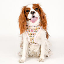Load image into Gallery viewer, PINKAHHOLIC CHECKERED PATTERN HARNESS and Matching Lead