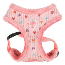Load image into Gallery viewer, PINKAHOLIC HEART PATTERN HARNESS AND LEAD