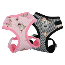 Load image into Gallery viewer, CATSPIA  MOGGY Superior Harness for  Cats