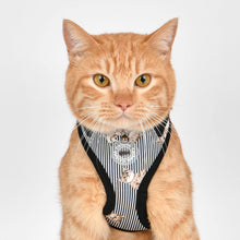 Load image into Gallery viewer, CATSPIA  MOGGY Superior Harness for  Cats
