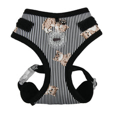 Load image into Gallery viewer, CATSPIA  MOGGY Superior Harness for  Cats