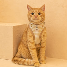 Load image into Gallery viewer, CATSPIA  MOUSER Superior Harness for  Cats