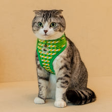 Load image into Gallery viewer, CATSPIA  ARELI Superior Harness for  Cats
