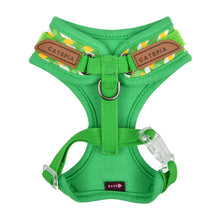 Load image into Gallery viewer, CATSPIA  ARELI Superior Harness for  Cats