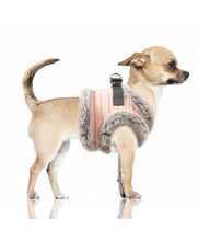 Load image into Gallery viewer, Milk & Pepper Zora Harness