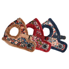 Load image into Gallery viewer, PUPPIA FLOWER PATTERN HARNESS and MATCHING LEAD