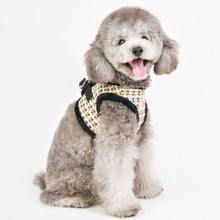 Load image into Gallery viewer, PINKAHHOLIC  CHECKERED PATTERN HARNESS and MATCHING LEAD