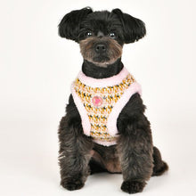 Load image into Gallery viewer, PINKAHHOLIC  CHECKERED PATTERN HARNESS and MATCHING LEAD