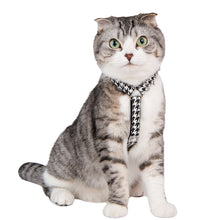 Load image into Gallery viewer, CATSPIA  MOUSER Superior Harness  H for  Cats