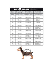 Load image into Gallery viewer, Milk & Pepper Campus Coat