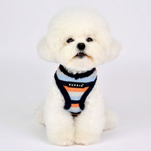 Load image into Gallery viewer, PUPPIA STRIPED SOFT HARNESS and MATCHING LEAD