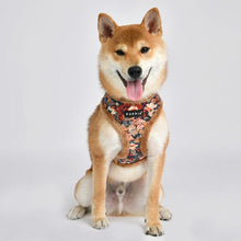 Load image into Gallery viewer, PUPPIA FLOWER PATTERN HARNESS and MATCHING LEAD