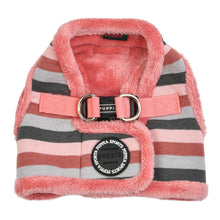 Load image into Gallery viewer, PUPPIA STRIPED SOFT HARNESS and matching lead
