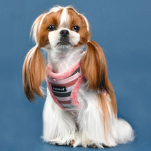 Load image into Gallery viewer, PUPPIA STRIPED SOFT HARNESS and matching lead