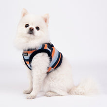 Load image into Gallery viewer, PUPPIA STRIPED SOFT HARNESS and matching lead