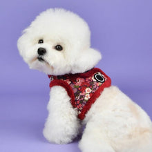 Load image into Gallery viewer, PUPPIA FLOWER PATTERN HARNESS and MATCHING LEAD
