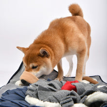 Load image into Gallery viewer, PUPPIA NOSEWORK PUPVENTURE MAT