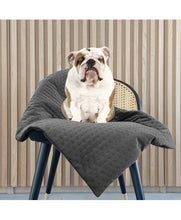 Load image into Gallery viewer, Milk & Pepper Velvet Opera Plaid Blanket